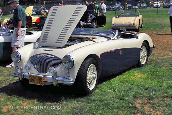 Austin Healey 100M LeMans Factory Prepared 1956